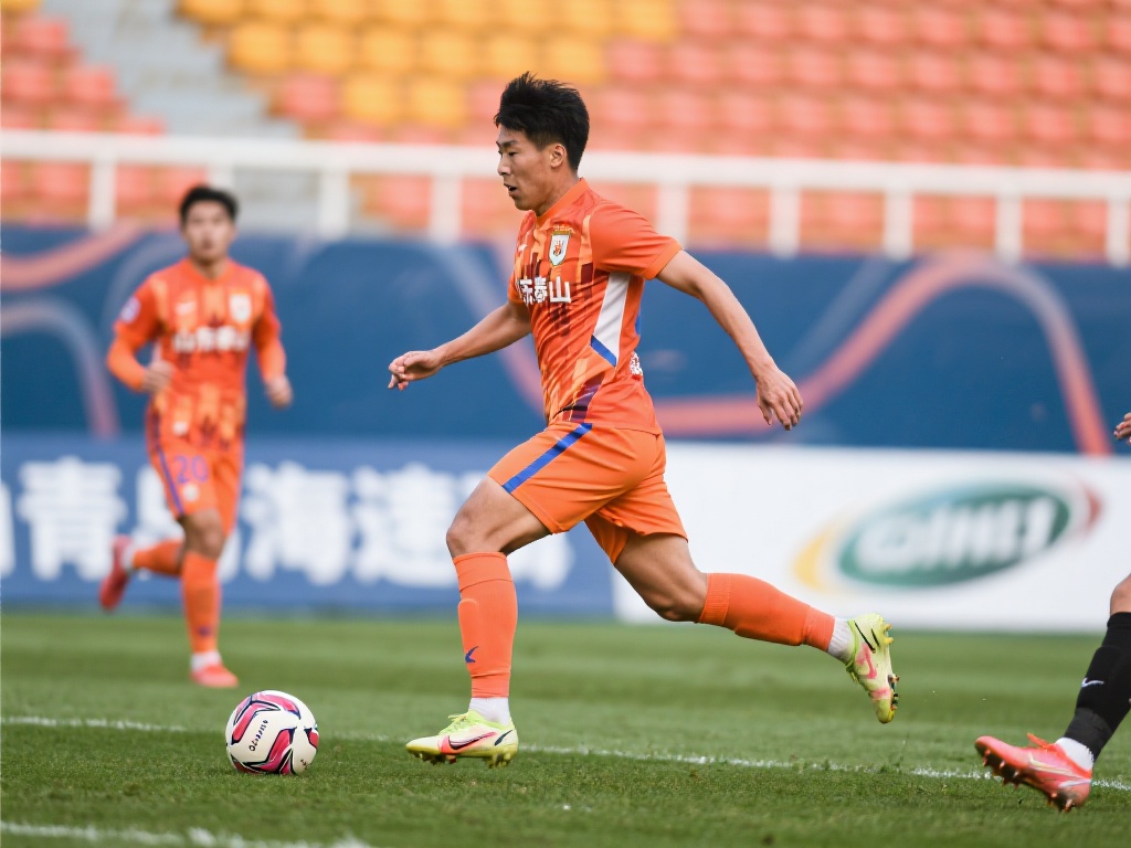 不仅延续了 不仅延续了